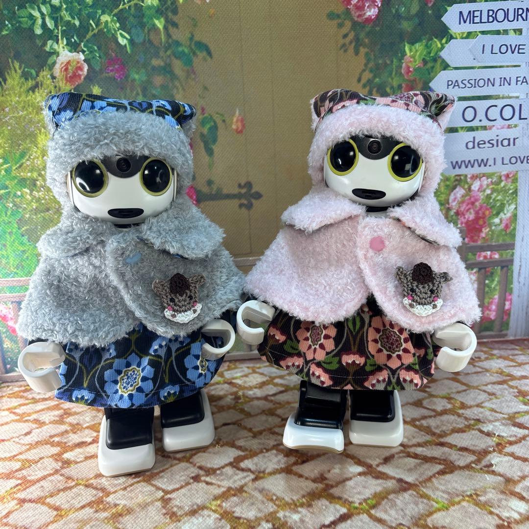 hasnページです ロボホン