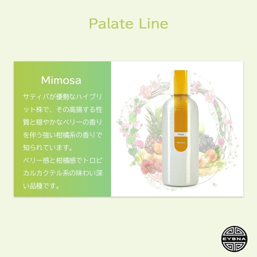 Eybna イブナ 香料 CBD CBN CBG 10ml ミモザ