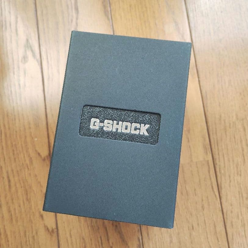 【 新品 CASIO G-SHOCK スピードモデル DW5600E-1 】