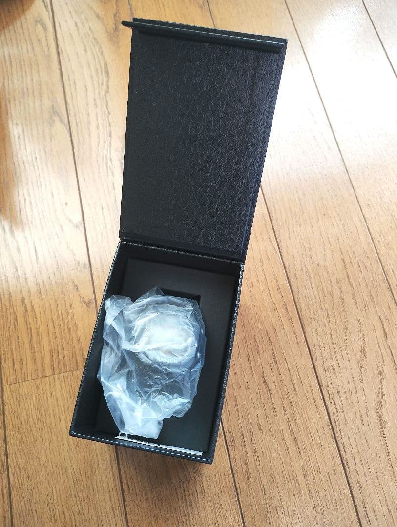 【 新品 CASIO G-SHOCK スピードモデル DW5600E-1 】