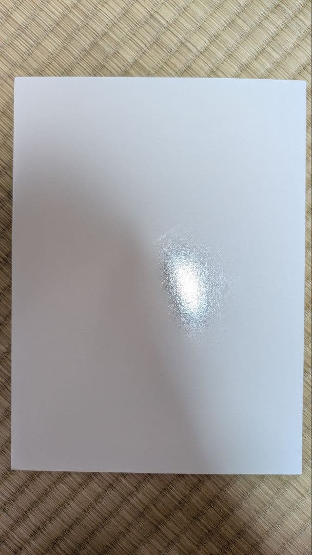 鯉江良二 DAIWA PRESS VIEWING ROOM10