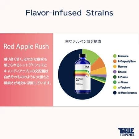TRUE テルペン CBD CBN CBG 10ml レッドアップルラッシュ