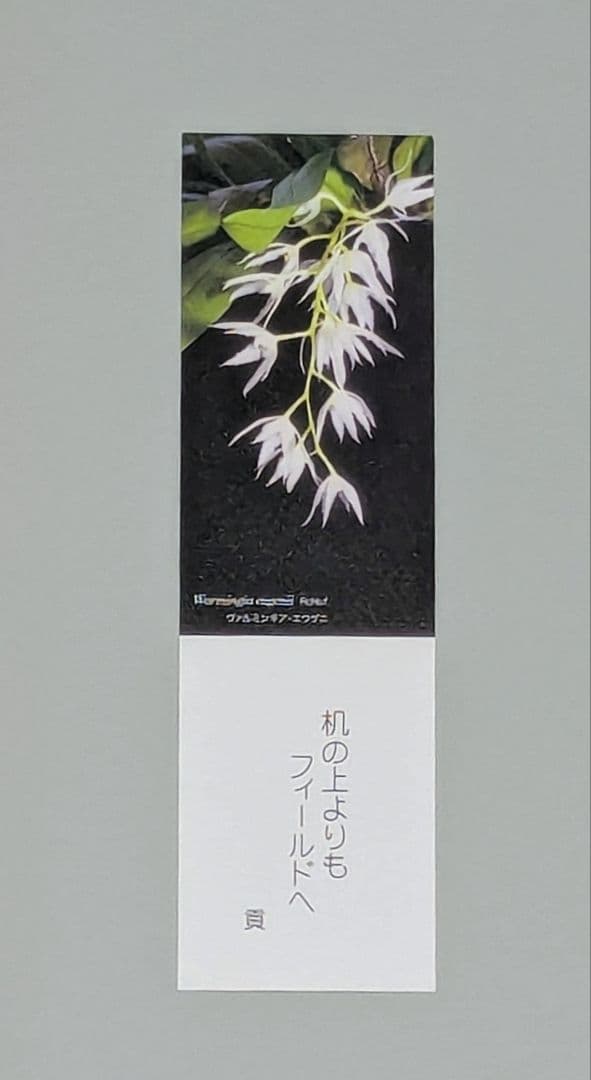 艶蘭亭と小山貢の栞　ADELANTE　野生蘭と甲虫