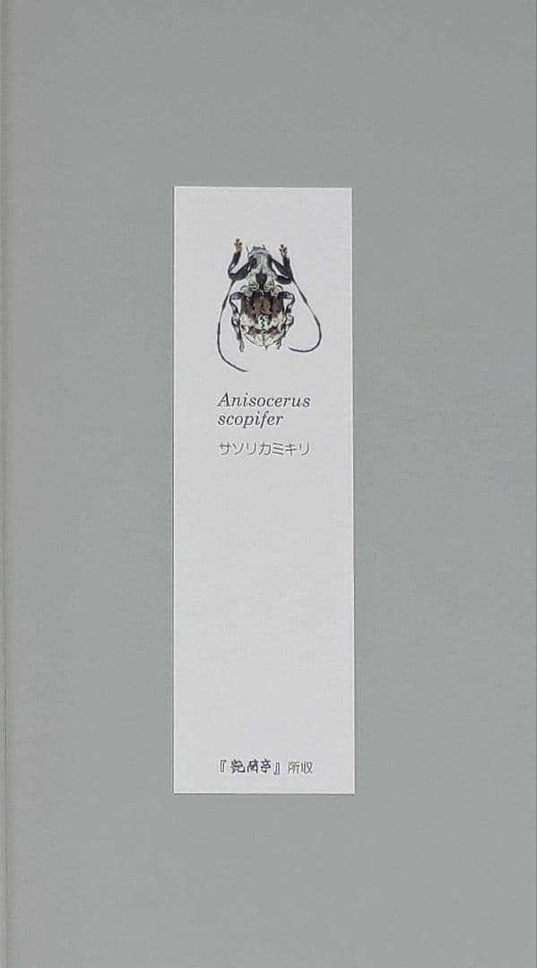 艶蘭亭と小山貢の栞　ADELANTE　野生蘭と甲虫