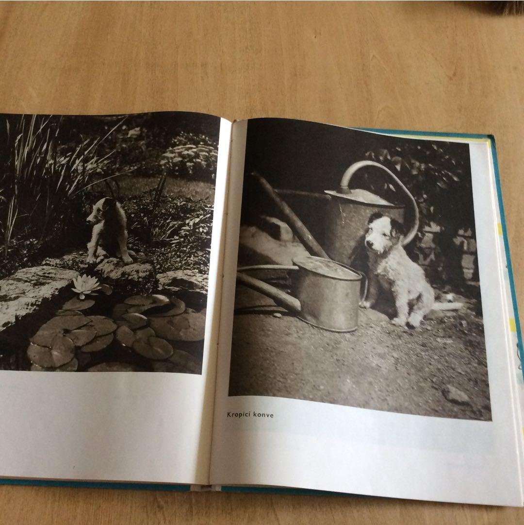 稀少本 チェコ カレルチャペック DASENKA ダーシェンカ