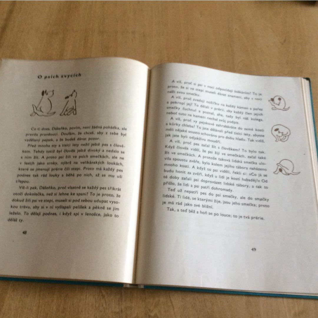 稀少本 チェコ カレルチャペック DASENKA ダーシェンカ