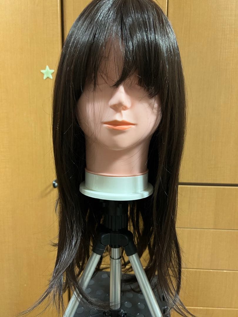 【アクアドール】フルロングウィッグ 前髪未カット