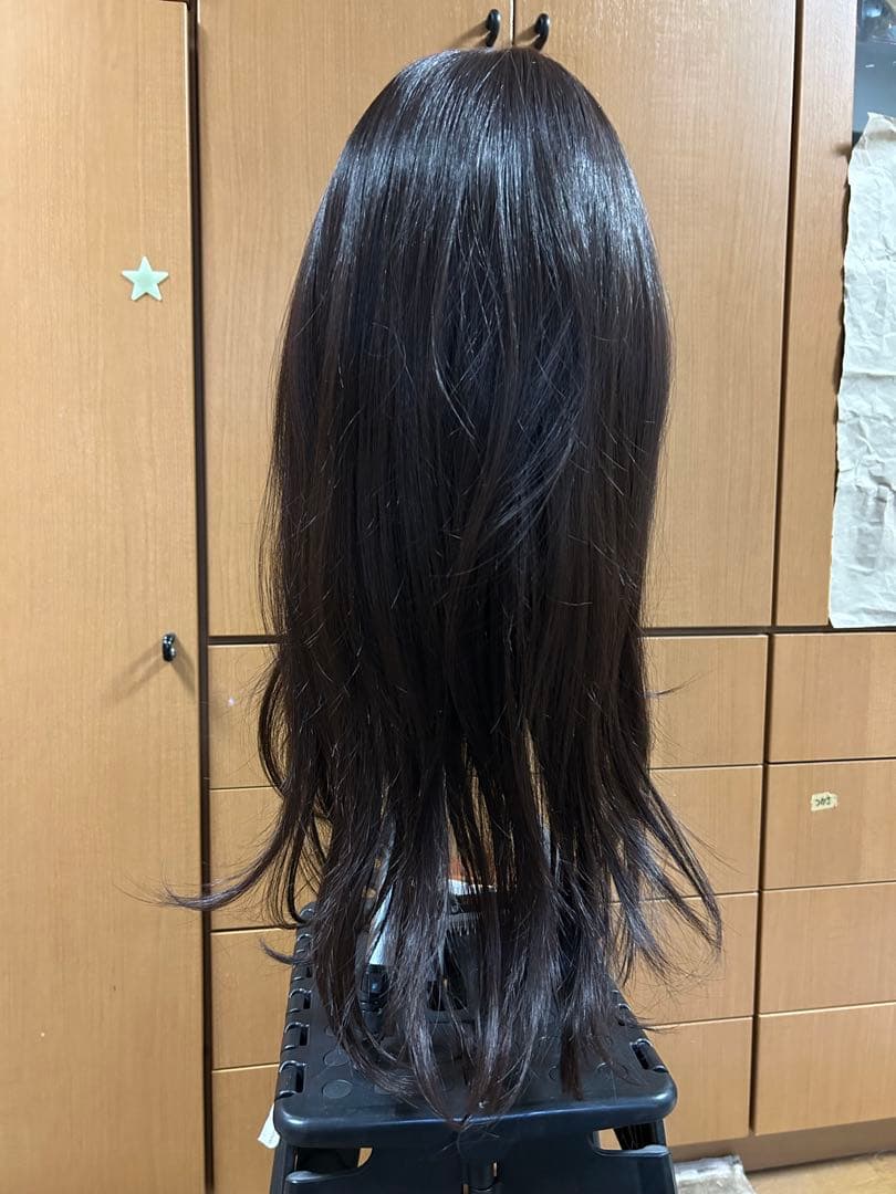 【アクアドール】フルロングウィッグ 前髪未カット