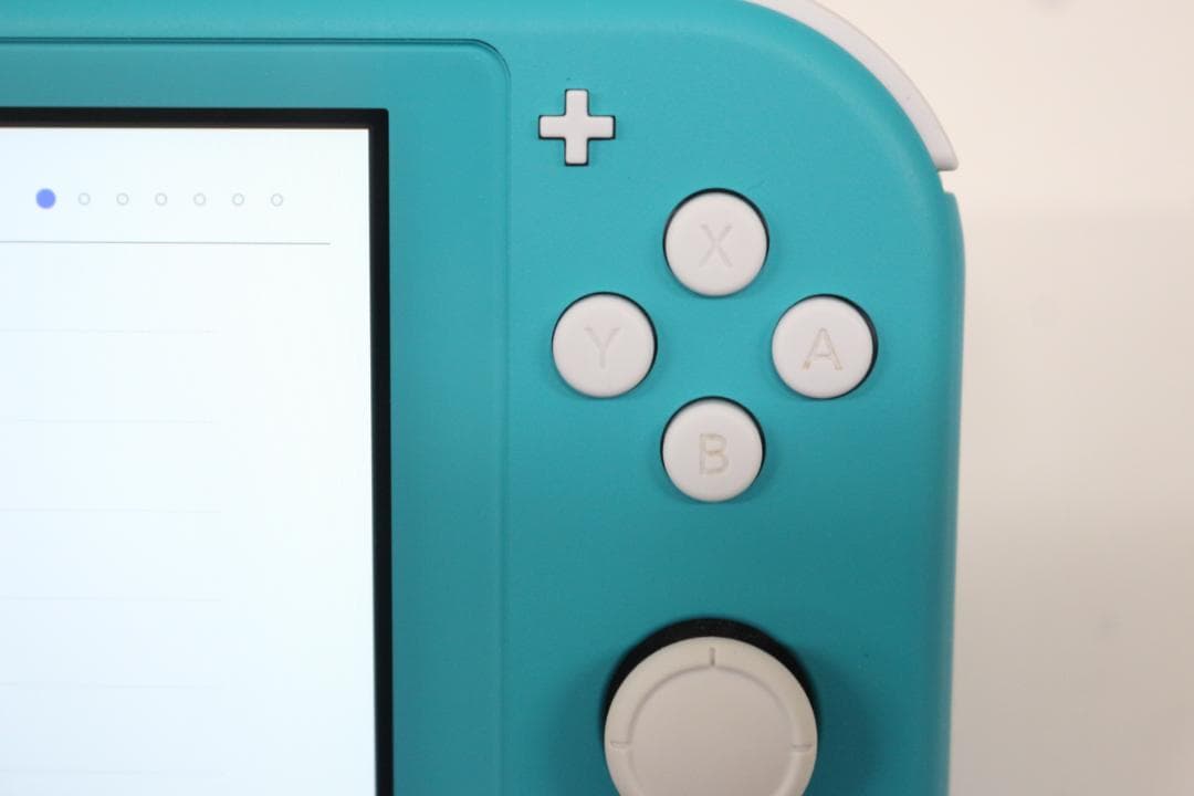 任天堂 Switch スイッチ ライト どうぶつの森 限定カラー 本体