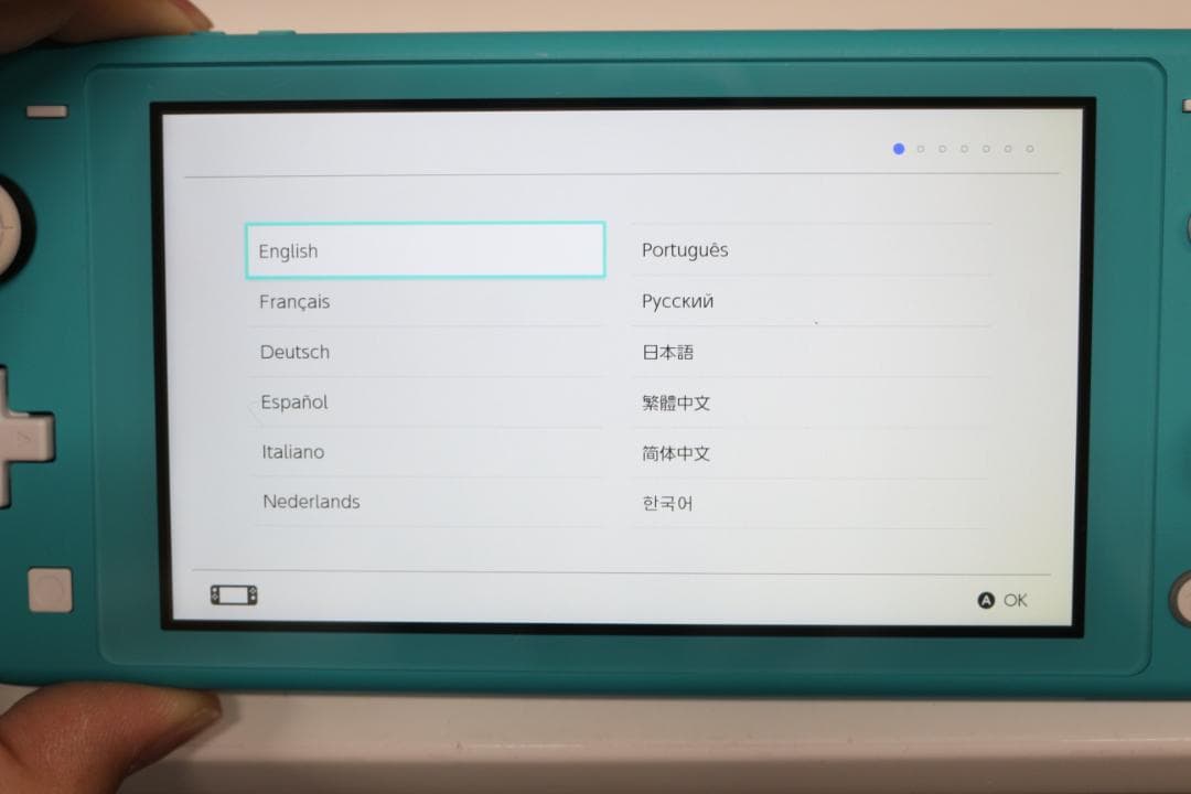 任天堂 Switch スイッチ ライト どうぶつの森 限定カラー 本体