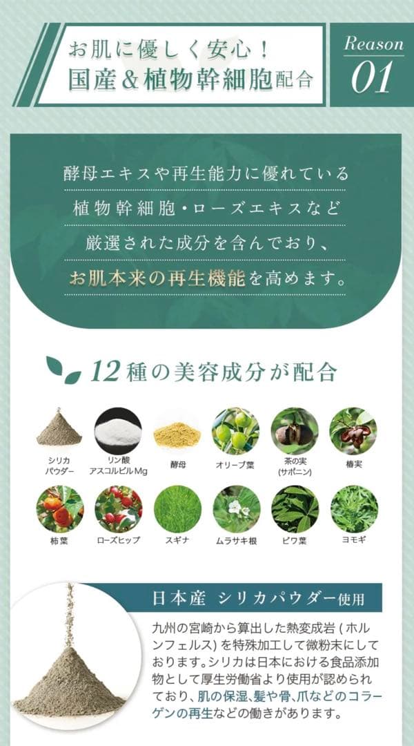 プロノビセア ハーブピーリングセット 剥離なし ダウンタイムなし