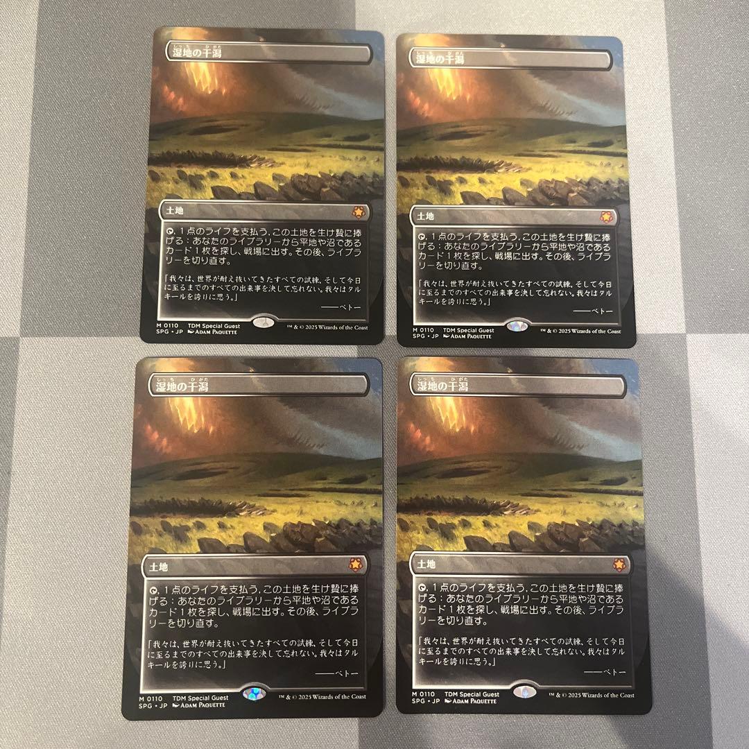 MTG 湿地の干潟　４枚　日本語　SPG