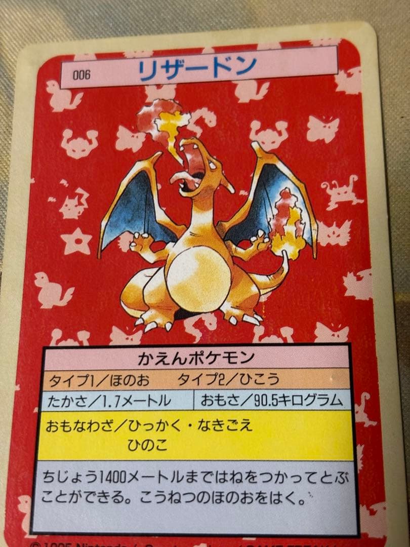 ポケットモンスター ポケモン リザードン トップサン 緑