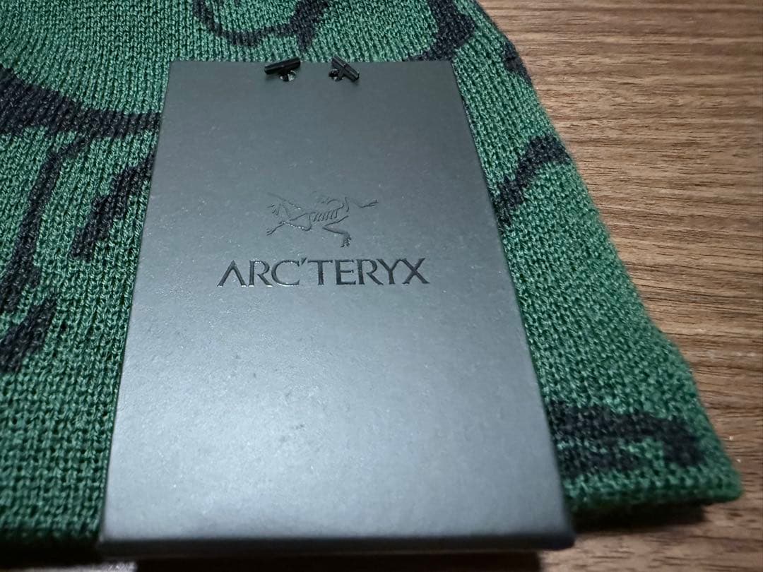 ARC'TERYX bird head toque 帽 グリーン