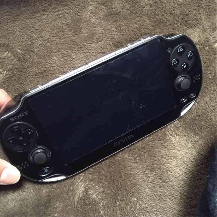 ヴィータ ジャンク