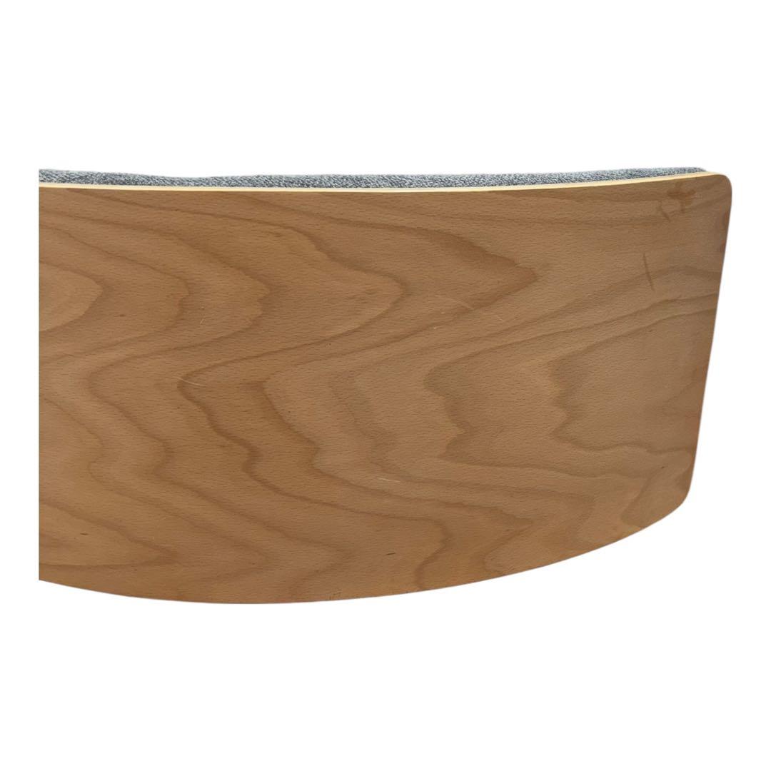 【美品】MIZUNO バランスバウム BALANCEBAUM バランスボード