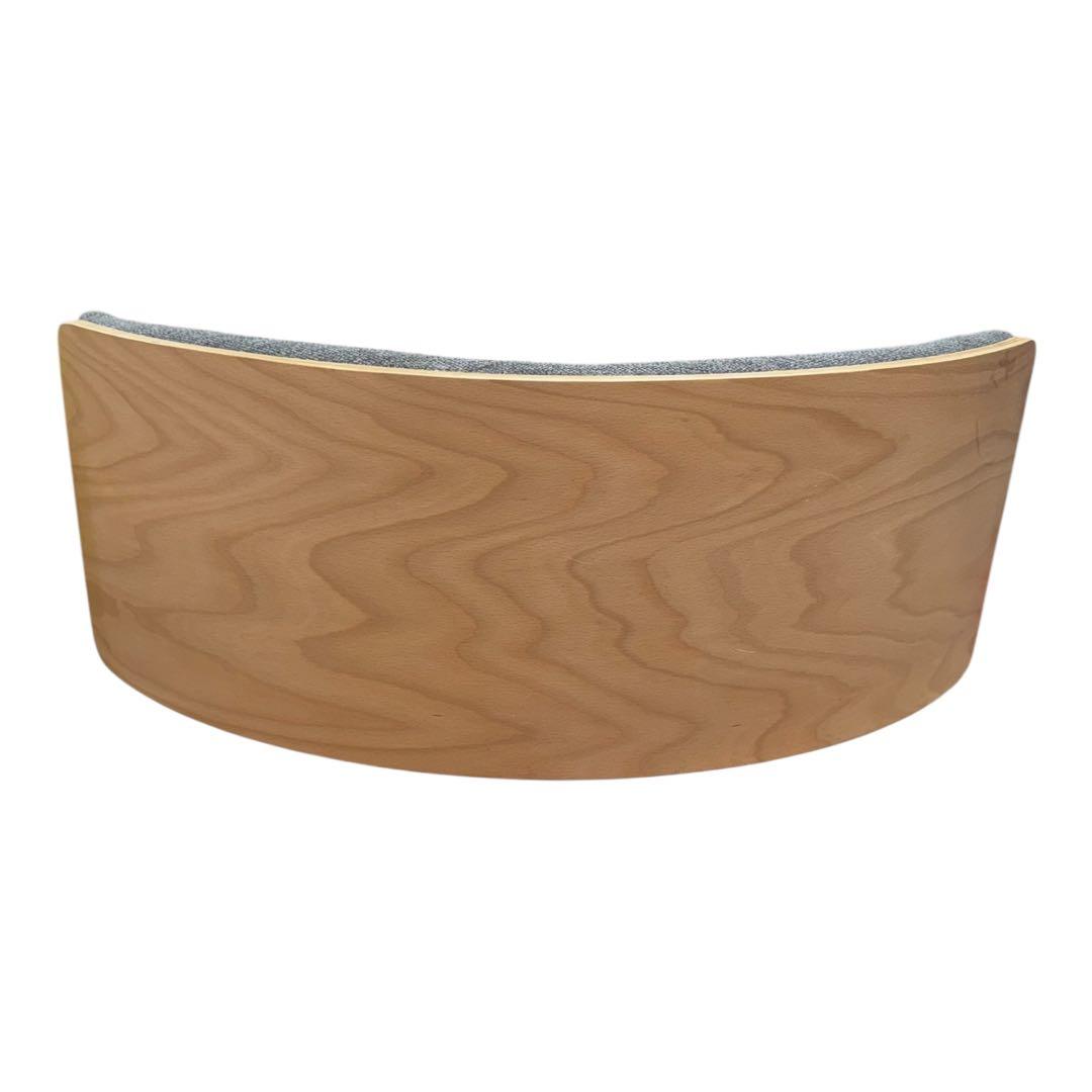 【美品】MIZUNO バランスバウム BALANCEBAUM バランスボード