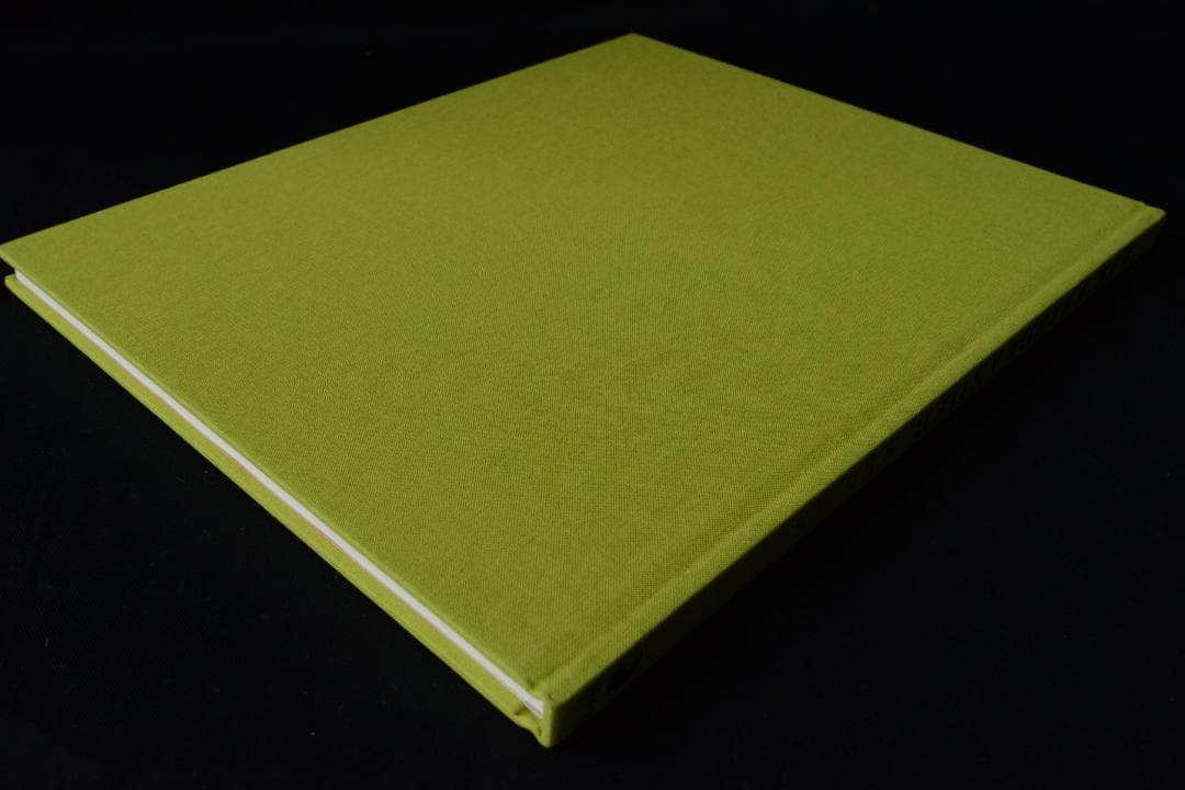 【Stems】リー・フリードランダー写真集 2003年 直筆サイン入 新品未読品