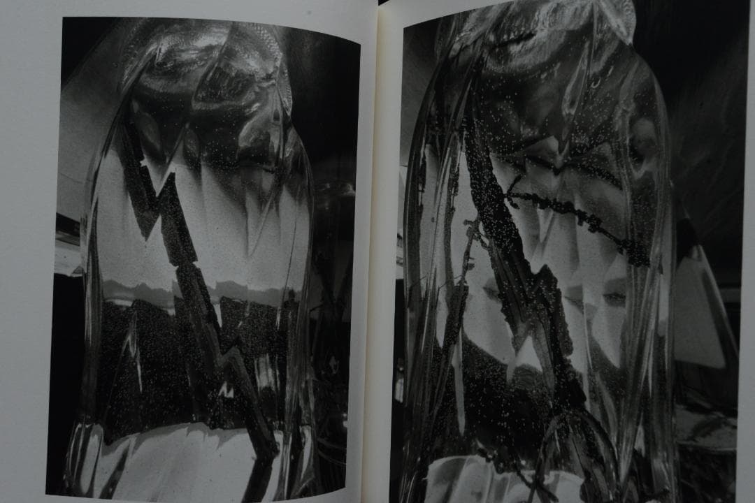 【Stems】リー・フリードランダー写真集 2003年 直筆サイン入 新品未読品