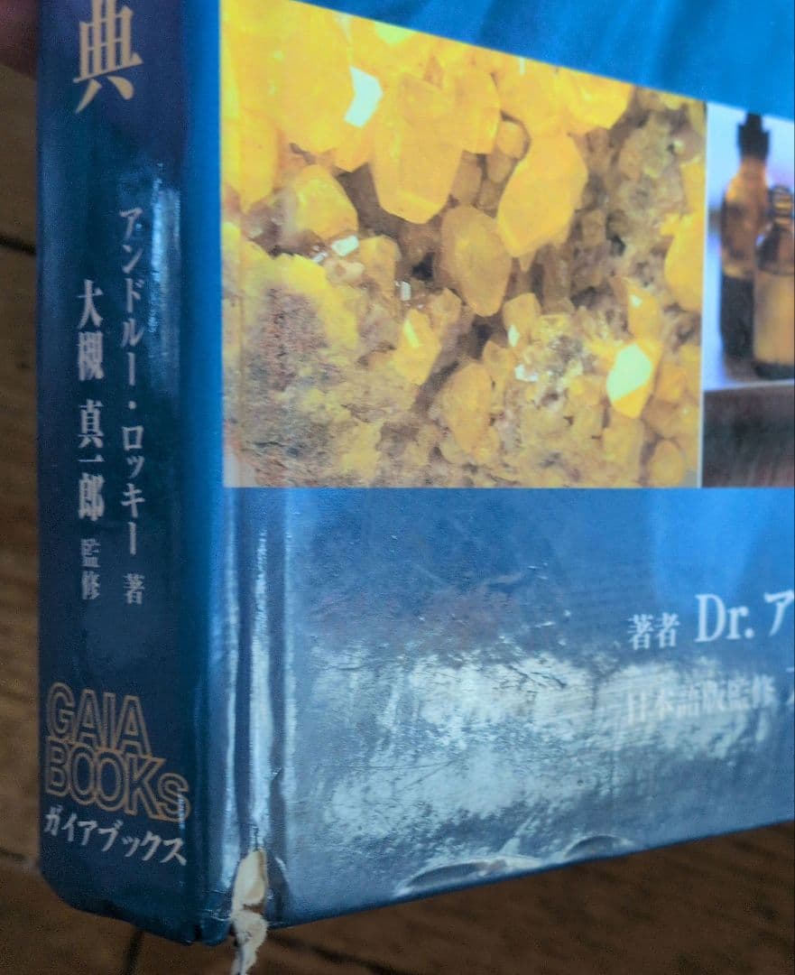 ＊ホメオパシー大百科事典＊新ビジュアル版＊