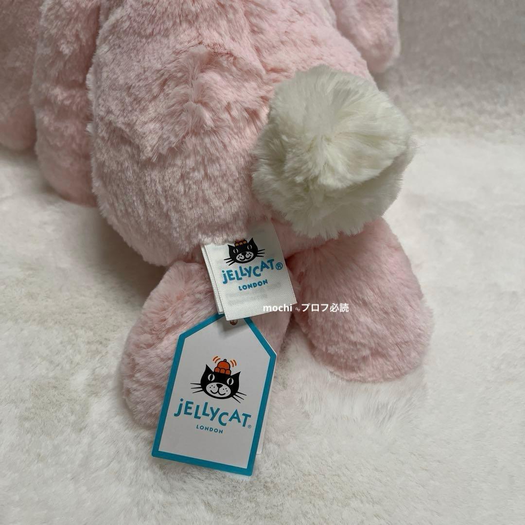  Bashful Pink Bunny うさぎ