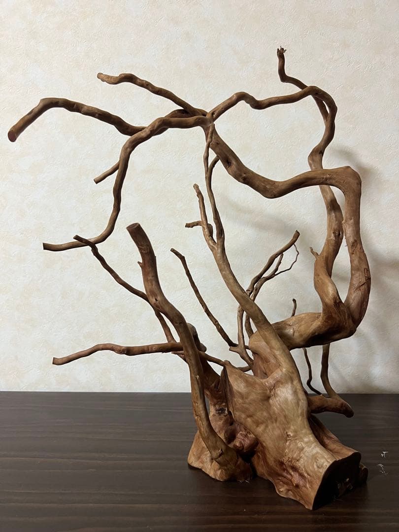 13003 ブランチウッド　流木　アクアリウム　沈水確認済