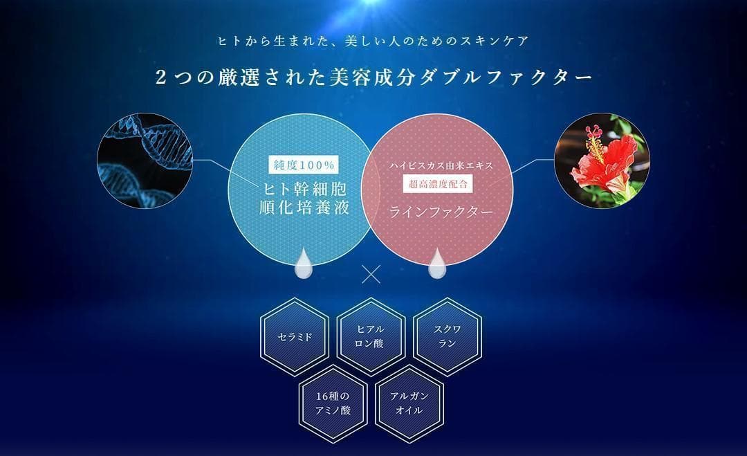 限定大特価✨リジェナ セラム＆クリーム4セット✨ヒト幹細胞純度100% 日本製