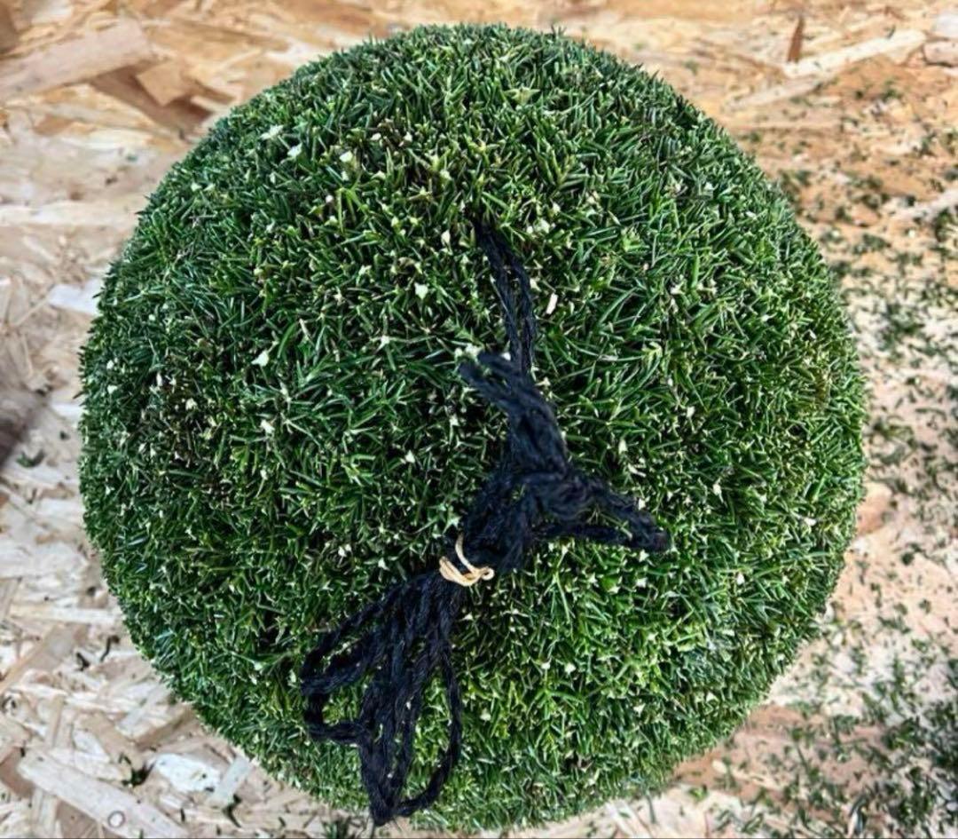 杉玉　約40センチ ‼️縁起物　丸くて幸せ　家族円満♪