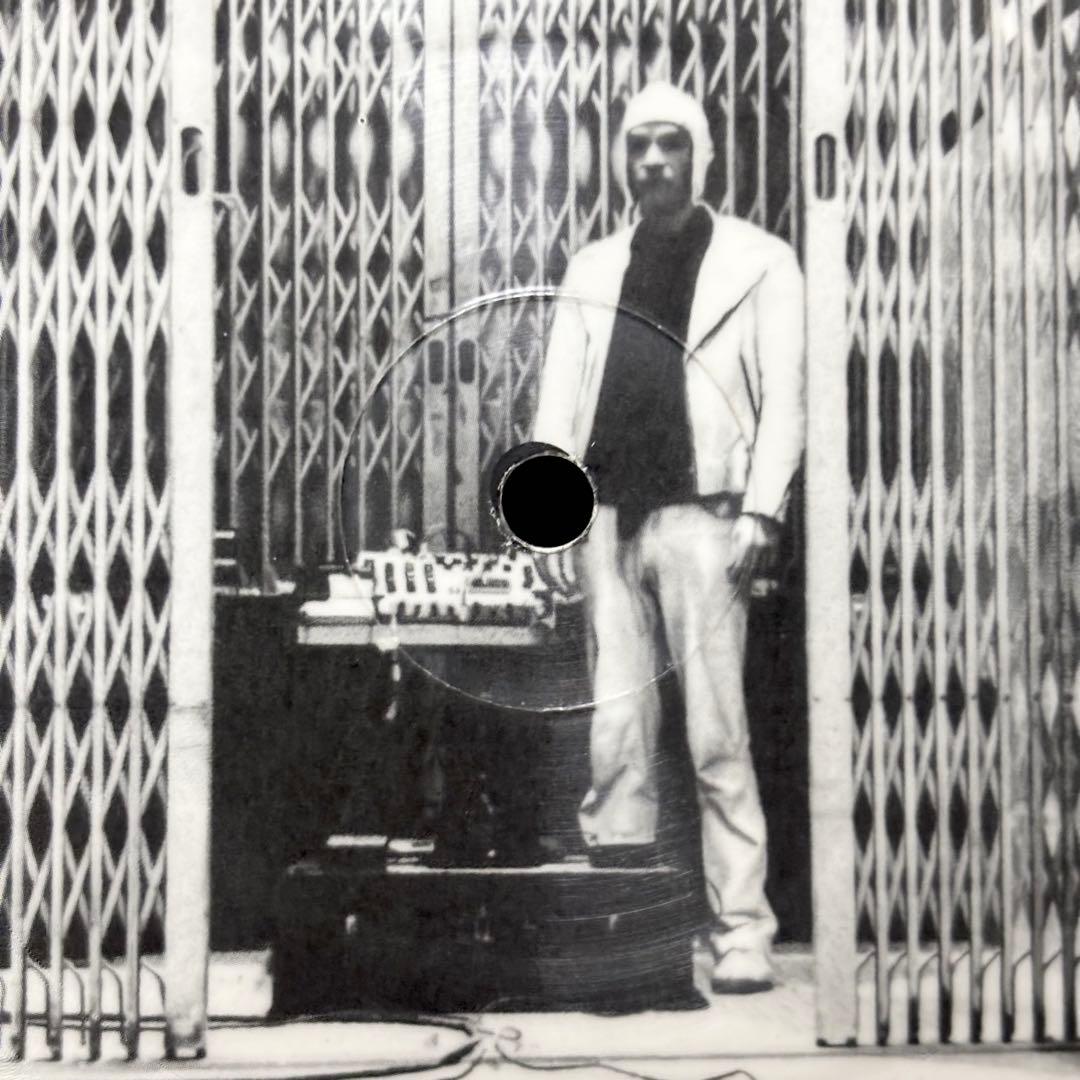 コンラッド・シュニッツラー 『ZUG』 12inch LP ピクチャーディスク