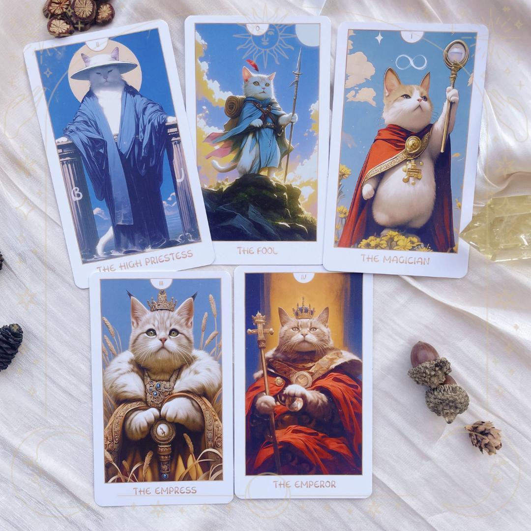 マーちゃん★タロット