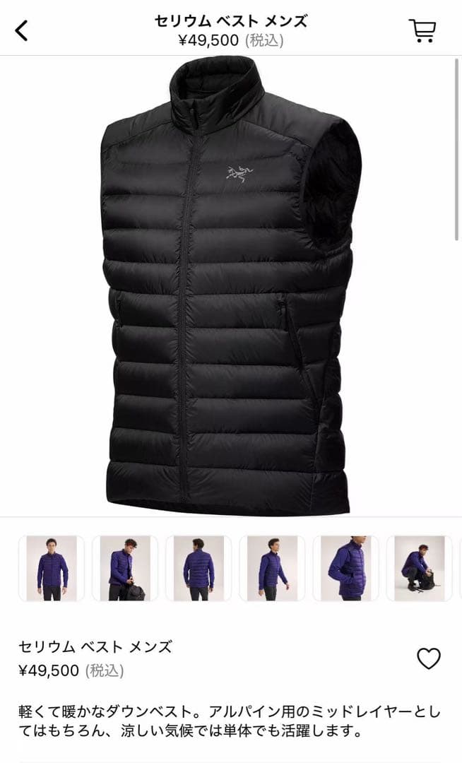 Arc'teryx セリウムベスト メンズ