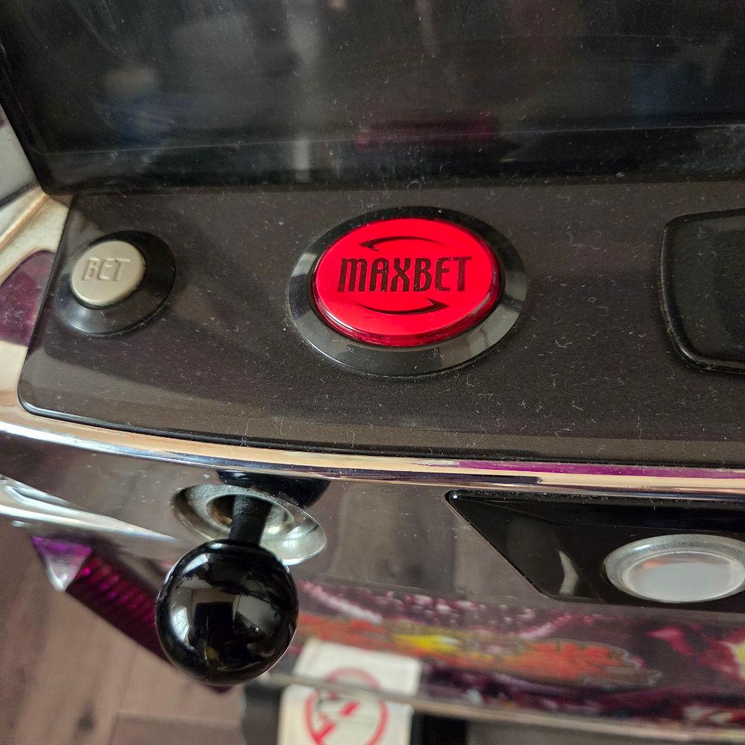 ☆蒼天の拳Z パチスロ スロット 実機 美品☆