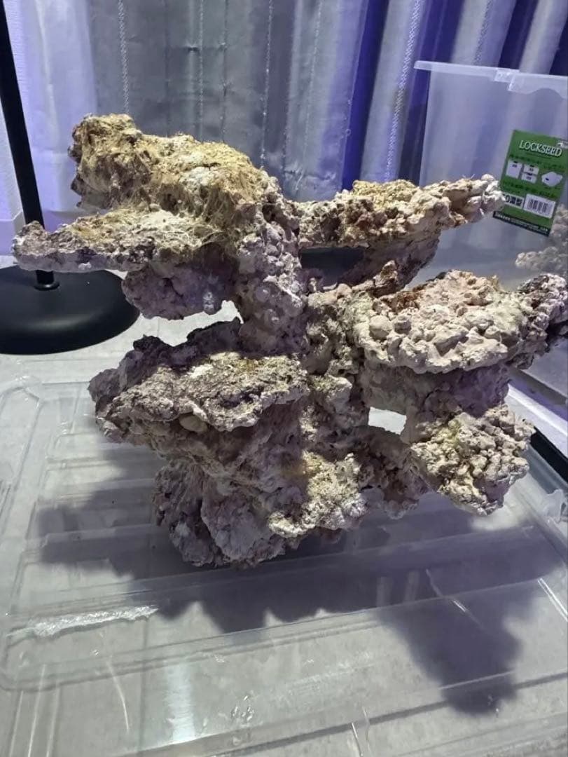 人工ライブロック 2点セット 90cm水槽 サンゴ 海水 アク抜き済み