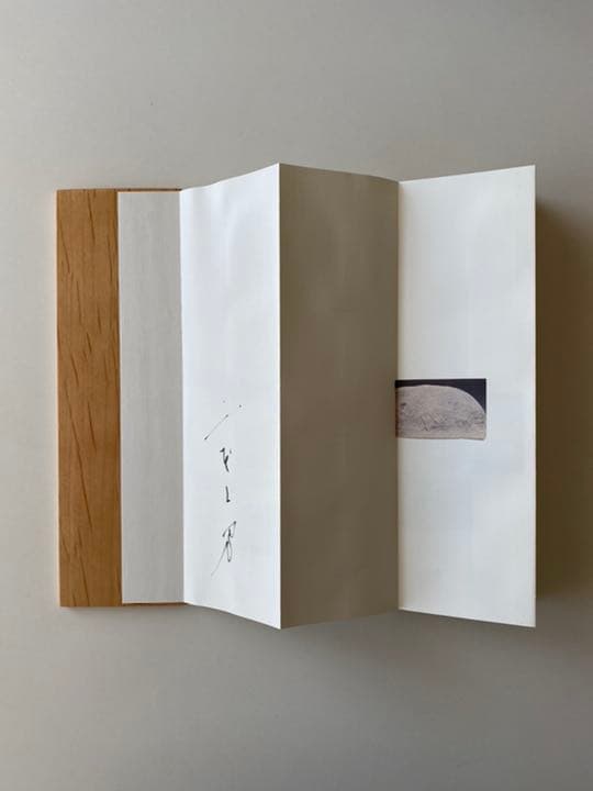 山本昌男　Masao Yamamoto 写真集　オオミズアオ　サイン入り