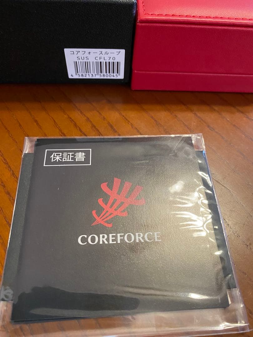 コアフォースループSUS SFL70