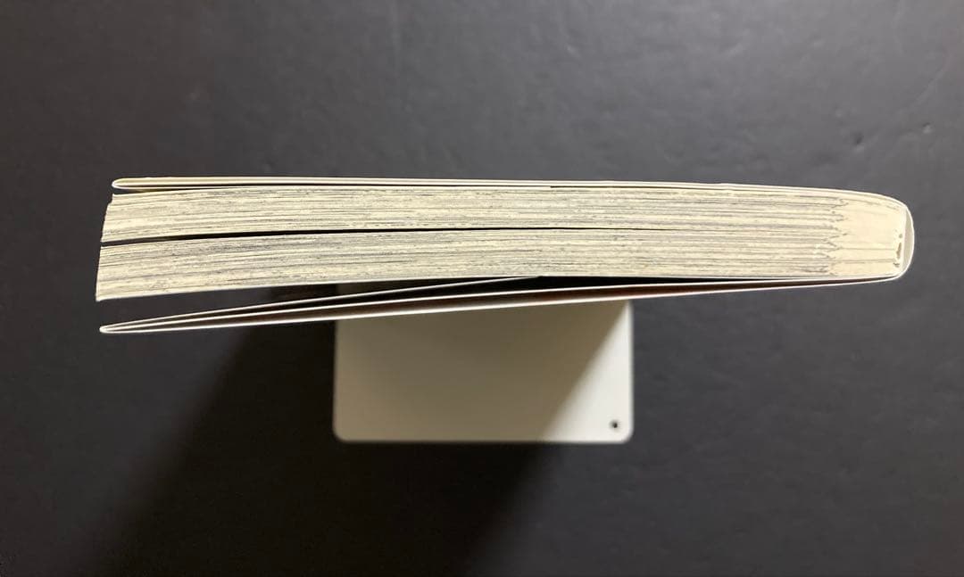 初版 ブスに花束を。1巻 漫画 +特典