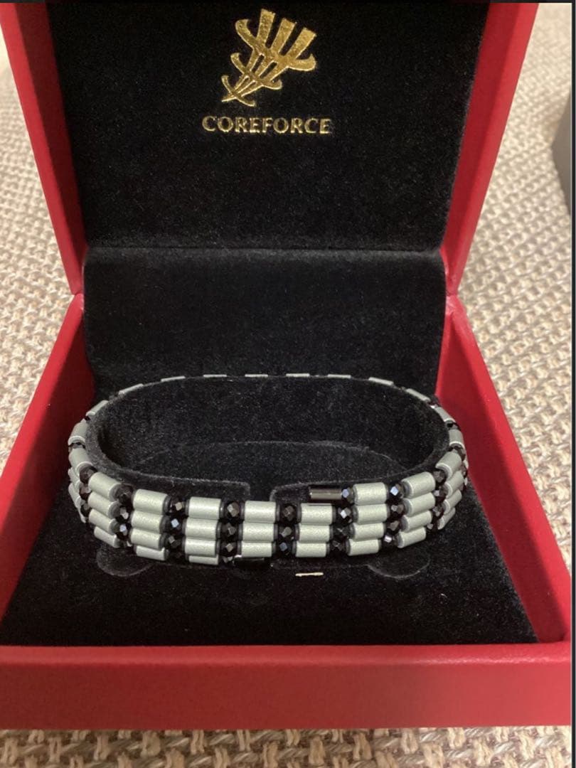 にしやんさん専用　限定品　コアフォース　グレーシルバー　ブラックスピネル