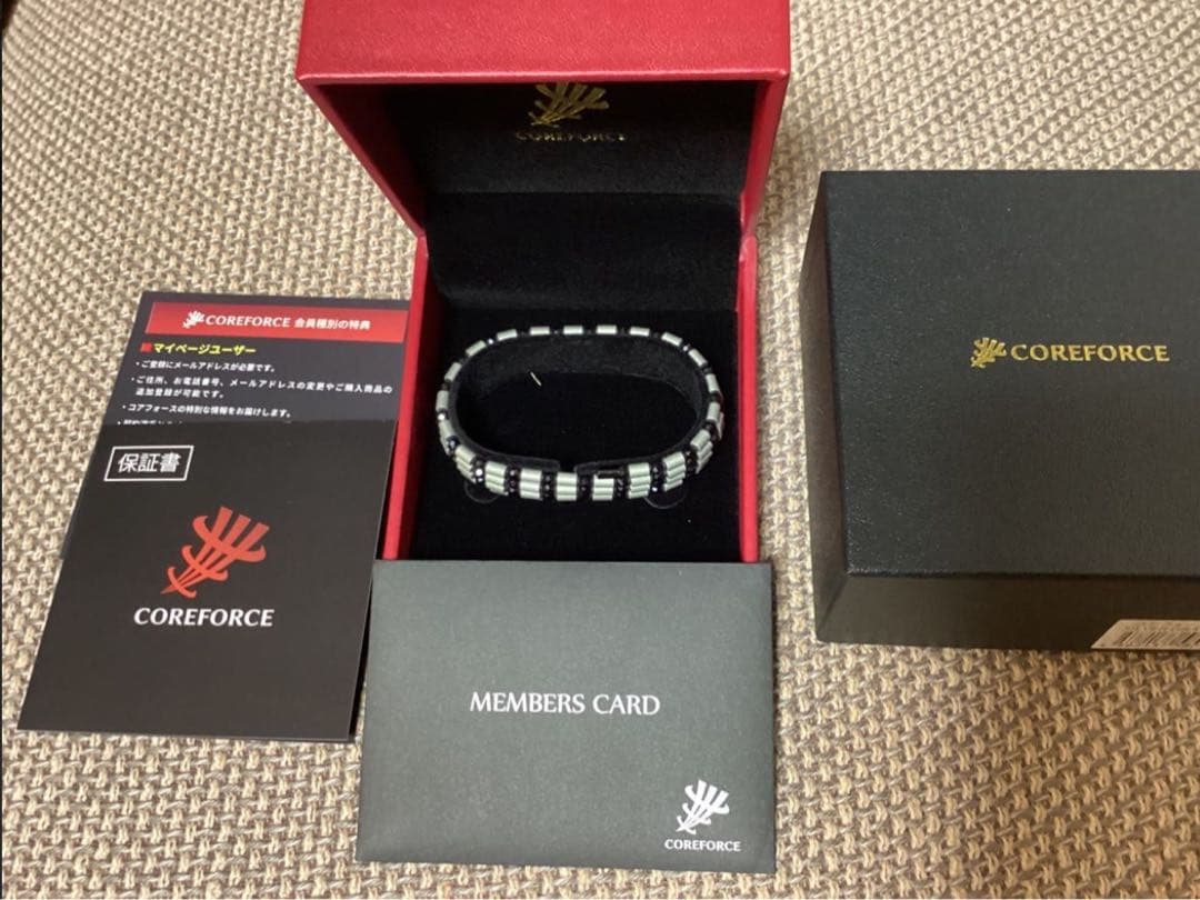 にしやんさん専用　限定品　コアフォース　グレーシルバー　ブラックスピネル