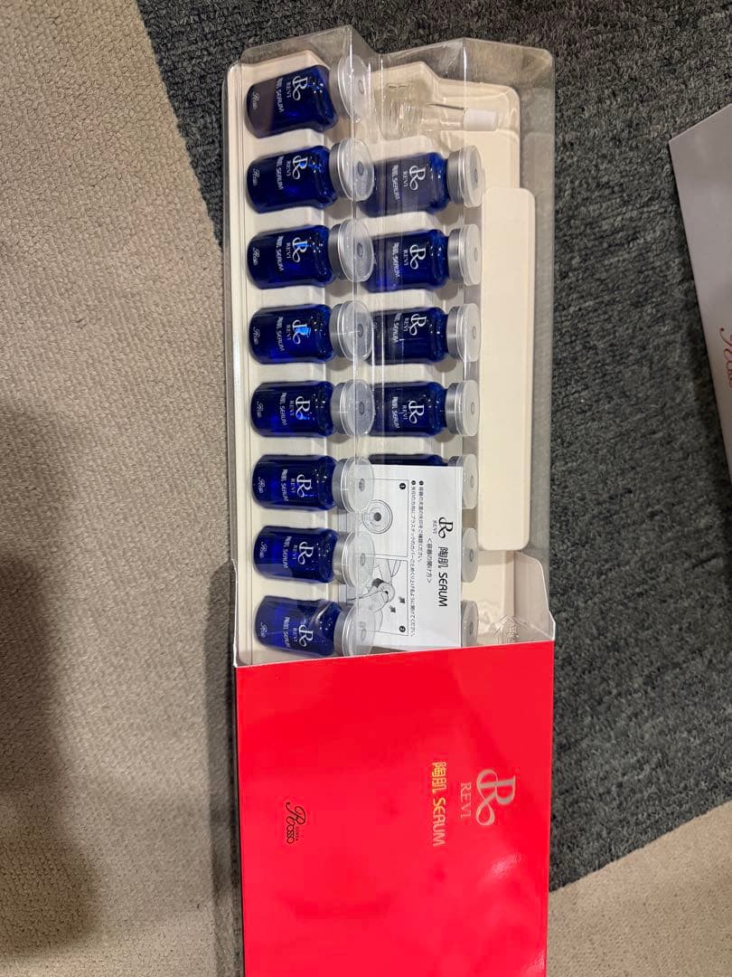 REVI スプレーガン&陶肌セラム　セット