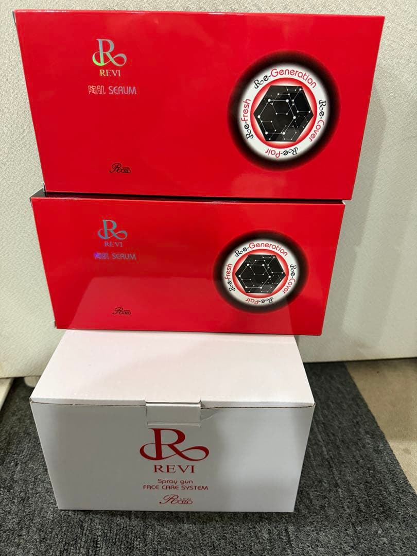 REVI スプレーガン&陶肌セラム　セット