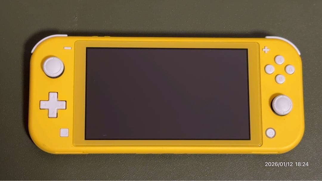 ニンテンドーSwitch lite