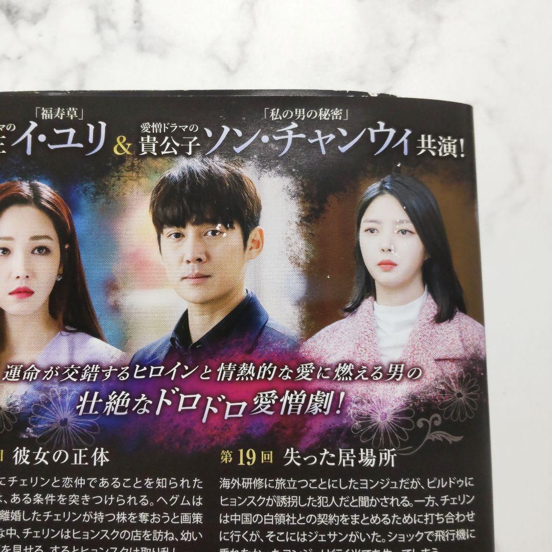 イ・ユリ★ソン・チャンウィ『かくれんぼ』レンタル落ちDVD★全巻★韓国ドラマ