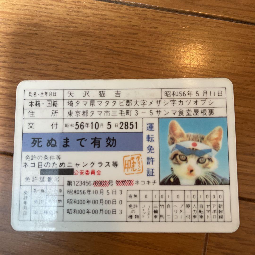 なめ猫 免許証6枚Fullセット♪+ α （復刻版）オマケ
