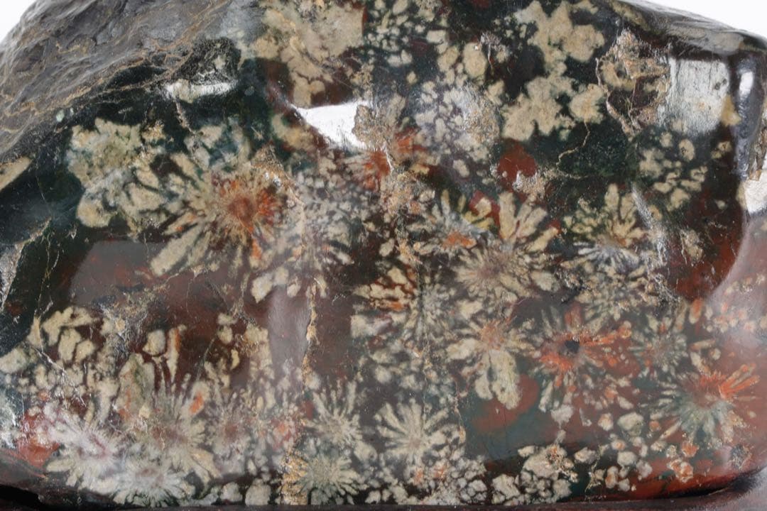 あ*げ様 根尾川産 六華　菊花石 小菊明瞭 台座・共箱付 鑑賞石 盆石 紋石 原