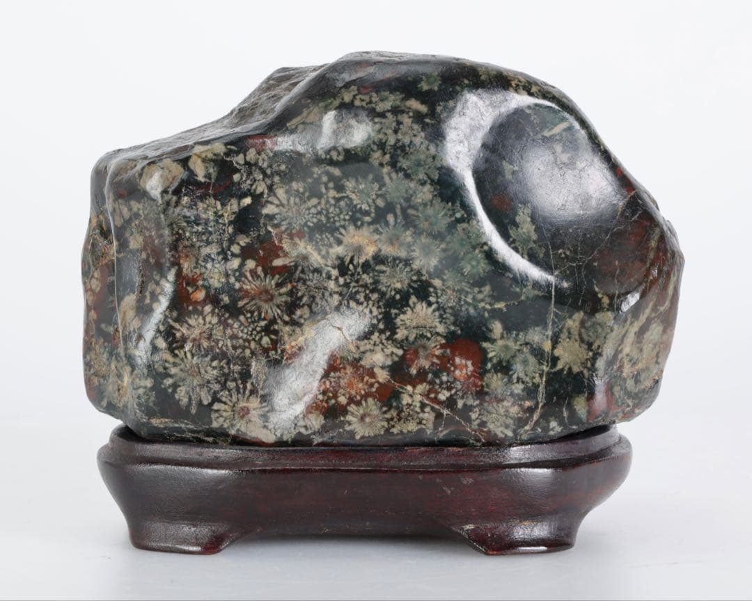 あ*げ様 根尾川産 六華　菊花石 小菊明瞭 台座・共箱付 鑑賞石 盆石 紋石 原