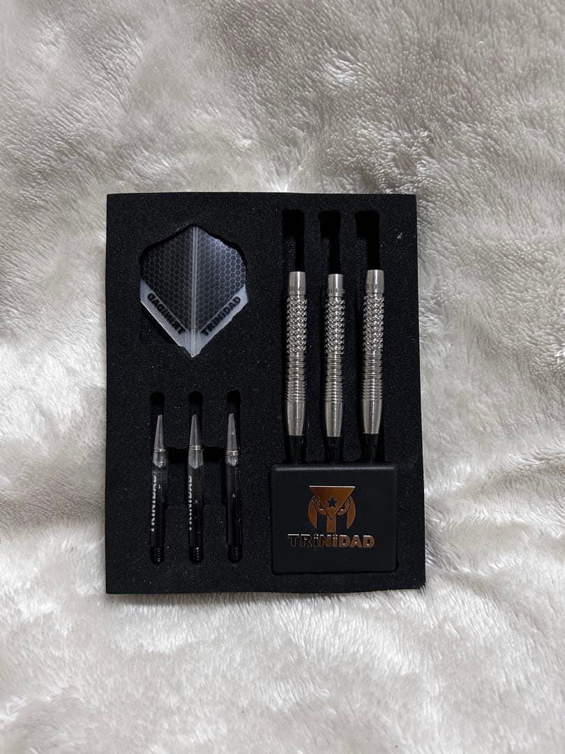 TRiNiDAD PRO Saldivar4 中西永吉