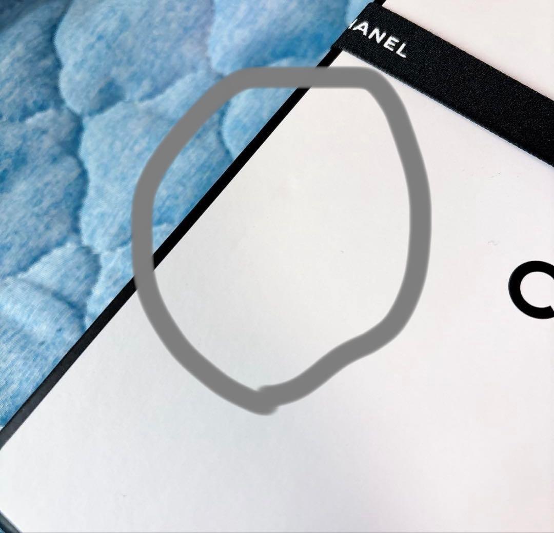 シャネル N゜5 オードゥ パルファム (ヴァポリザター) 100ml その他