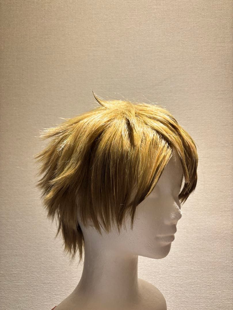 あんさんぶるスターズ 高峯翠 ショコラフェス コスプレ衣装 ウィッグ付き