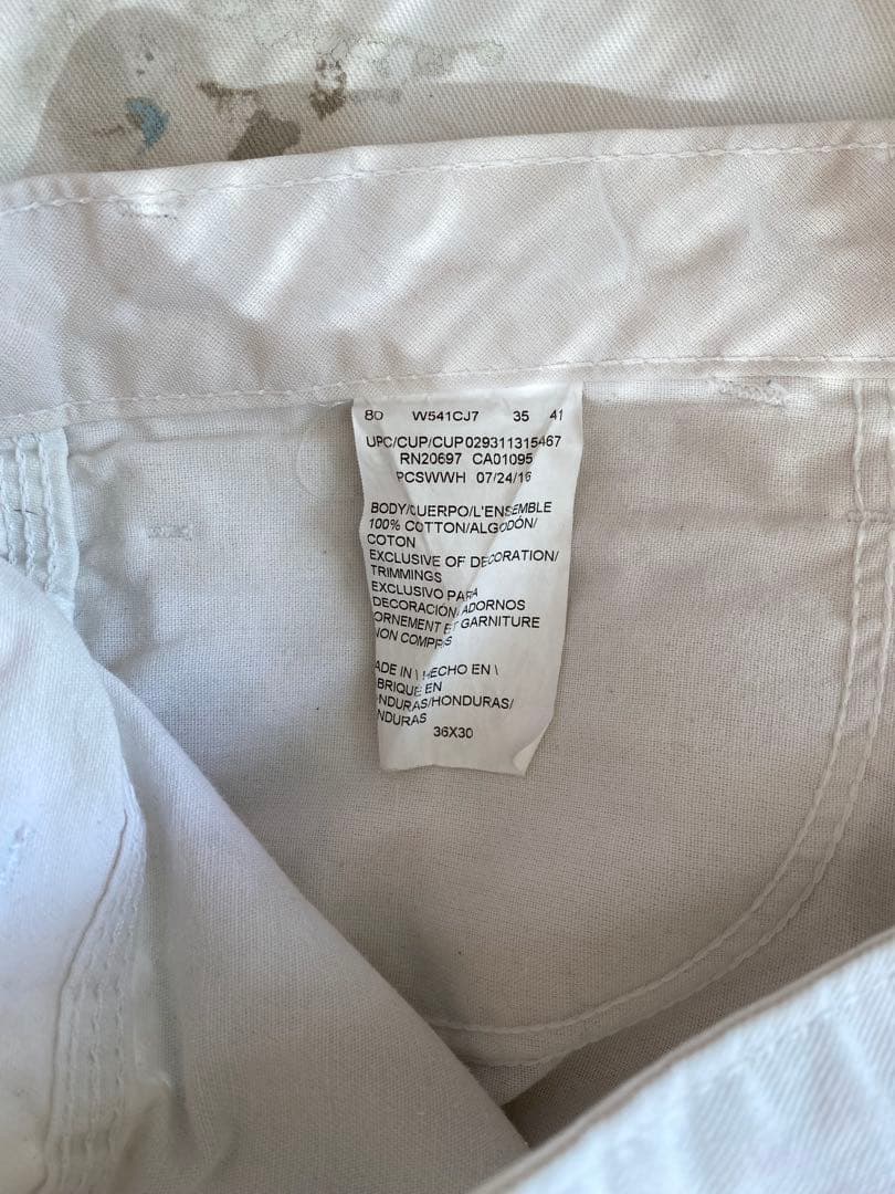 Dickies SHRWIN WILLIAMS ペンキ ペインター パンツ 36