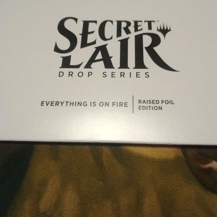 Everything is on Fire　RAISED　foil